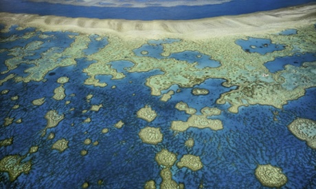 Australia's government scientists say the Great Barrier Reef is in danger from climate change, even though the country's Foreign Minister Julie Bishop says it isn't.