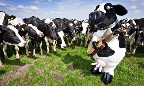 Ben & Jerry's brand concert