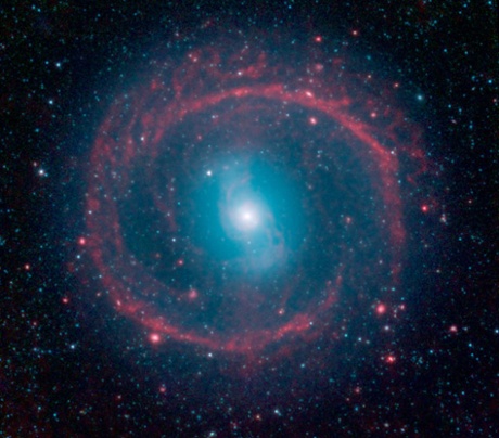 A new image from NASA's Spitzer Space Telescope, taken in infrared light, shows where the action is taking place in galaxy NGC 1291. The outer ring, colored red in this view, is filled with new stars that are igniting and heating up dust that glows with infrared light. The stars in the central area produce shorter-wavelength infrared light than that seen in the ring, and are colored blue.