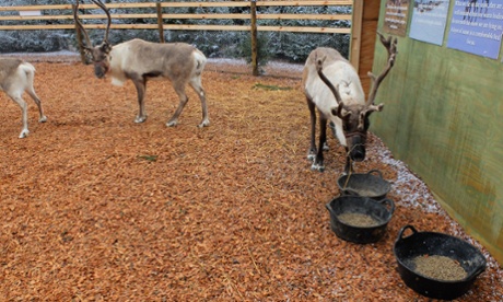 'Our reindeers don't bite because they can't.' This and other myth-busting was the job of 'public relations elves.