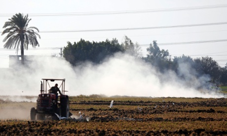 Tractor in rice field