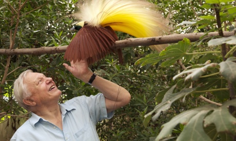 He probably wouldn't even mind if it dumped on him.