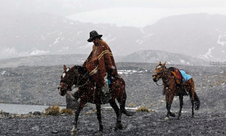 peru horses snow