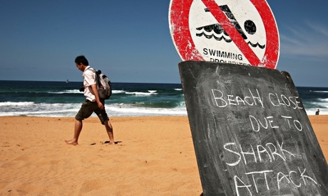 Sydney Beach Closed After Shark Attack