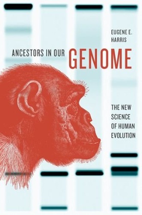 COVER: Ancestors in our genome by Eugene Harris.
