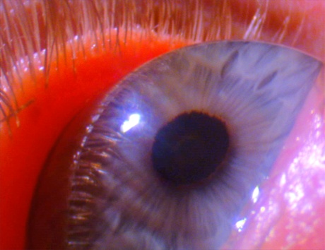 Worry  Will Vanish (still, detail), 2014. Video audio installation Courtesy the artist, Hauser & Wirth and Luhring Augustine, New York