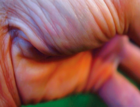 Worry  Will Vanish (still, detail), 2014. Video audio installation Courtesy the artist, Hauser & Wirth and Luhring Augustine, New York