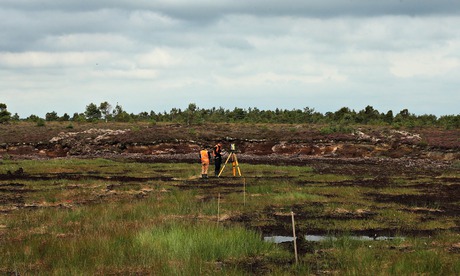 Brendan Megraw search