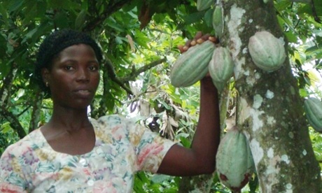 rainforest alliance farmer