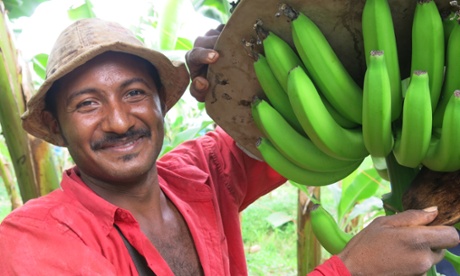 rainforest alliance farmer