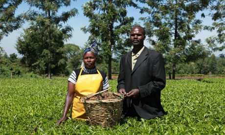 rainforest alliance farmer