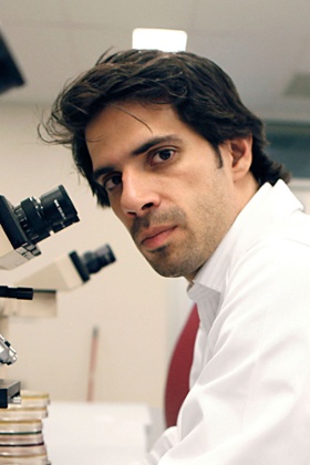 Hosam Zowawi examines antibiotic-resistant bacteria.