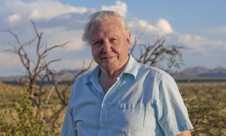 Life on Air … David Attenborough