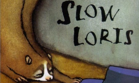 Slow Loris