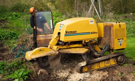 Reg Harris of Urban Forestry grinding a tree stump