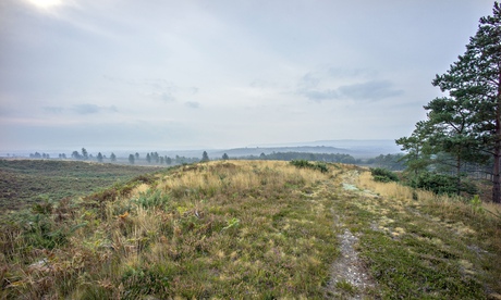 Slepe Heath