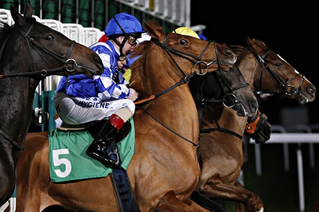 Racehorses leap from the starting gate for the 5.10 race at the twilight meeting at Kempton Park rac