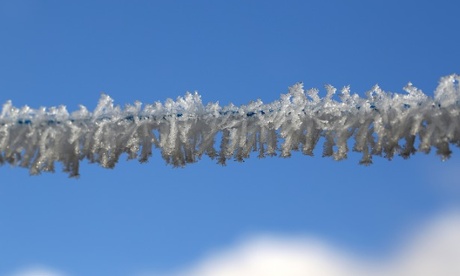 Hoar frost