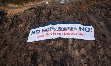 Anti-logging banner