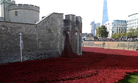tower poppies
