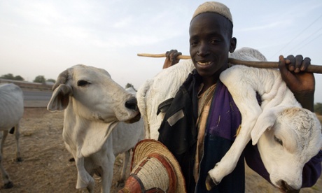 Nigeria herdsman