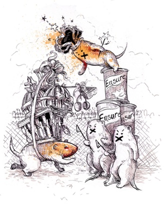 One of Molly Crabapple's illustrations from a fable about Colonel John Bogden