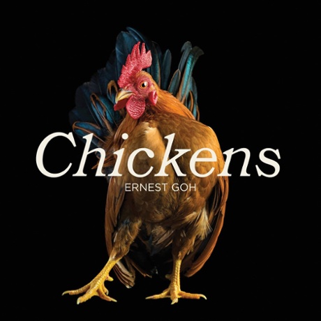 COVER: Chickens by Ernest Goh.