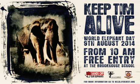 Hands Off Our Elephants Campaign material calls to 