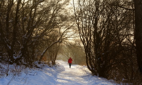 A winter walk