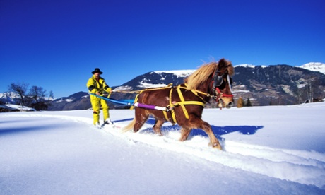 Ski joering in the French Alps