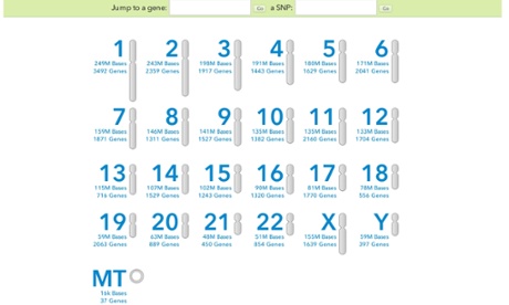 23andMe Genome Browser