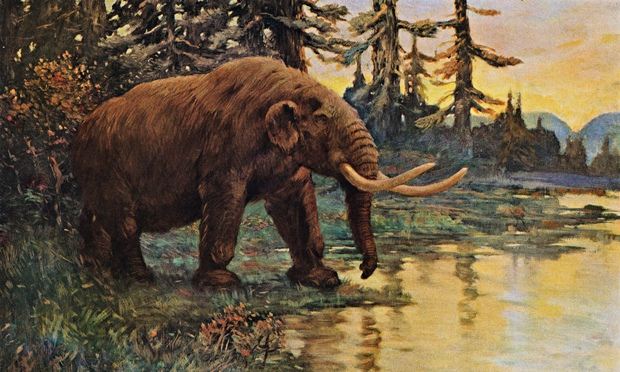mastodon animal age