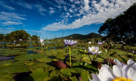 The Caley valley wetlands near Abbot Point