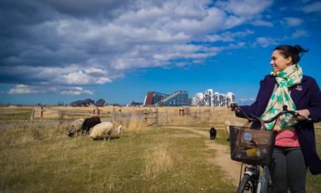 The nature reserve at Kalvebod.