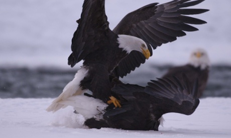 You’d be this ha - WAIT HANG ON.