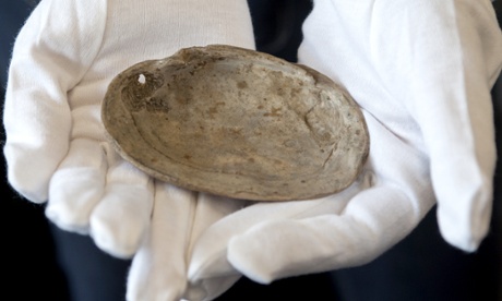 The engravings found on a shell from the Trinil region of Java in Indonesia are 350,000 years older than similar engravings in Africa.