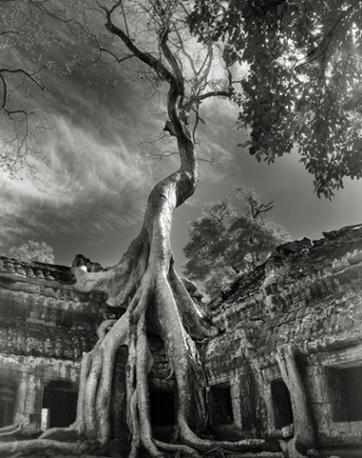 Rilke's Bayon (Cambodia 2007 by Beth Moon