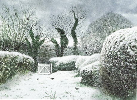 David Gentleman's illustration of Huntingfield Cottage Garden.