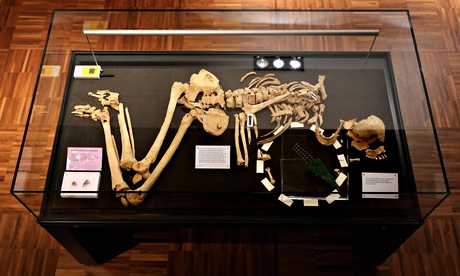 Story of man and dagger found in UK field is finally told – 4,200 years on