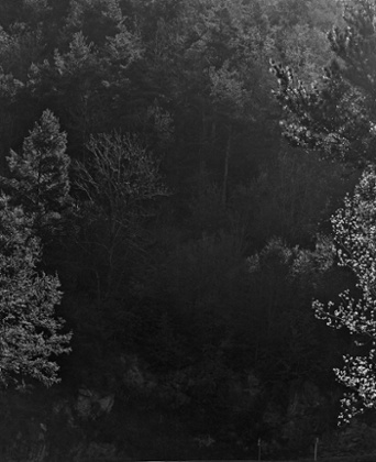 Images from the book, Sequester by Awoiska van der Molen