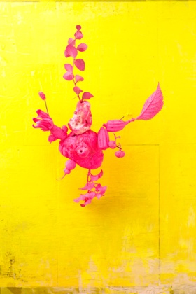 Lorenzo Vitturi, Shocking Pink Heart, from the series Dalston Anatomy, 2013.