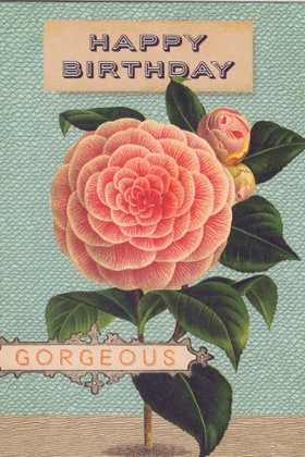 Michael Stipe's card