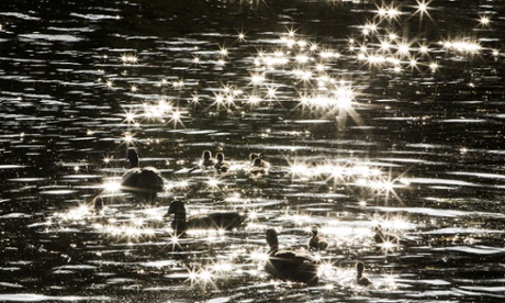 Geese and goslings make their way across a lake in Regent's Park on October 21, 2014 in London, England. Despite weather warnings issued by the Met Office for high winds and rain off the back of Hurricane Gonzalo, those predictions didn't materialise in London.