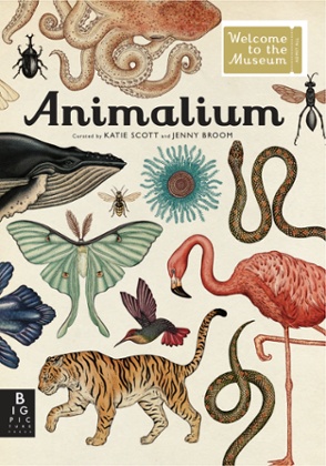 Animalium by Katie Scott and Jenny Broom.