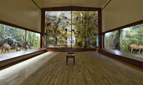 Powell-Cotton Museum, Quex House and Gardens