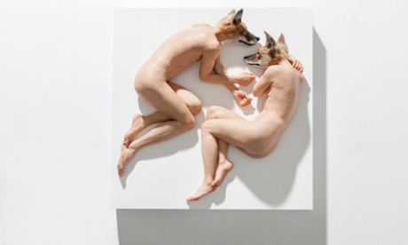 Unsettled Dogs 2012 by Sam Jinks