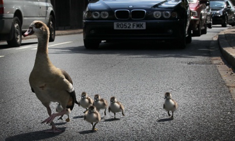 Leadership requires a willingness to be vulnerable.