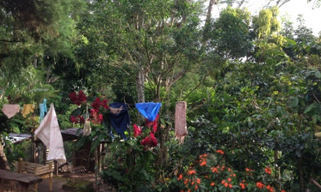 La Hermandad co-operative goes against local farming practices by committing not to deforest 40% of its land.