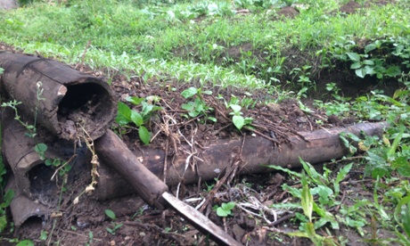The vegetable patch in Nilda Lopez’s yard provides fresh food for her family as well as a source of extra household income.