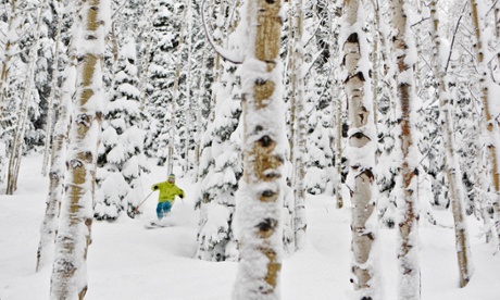 Powder skiing at the Deer Valley resort.